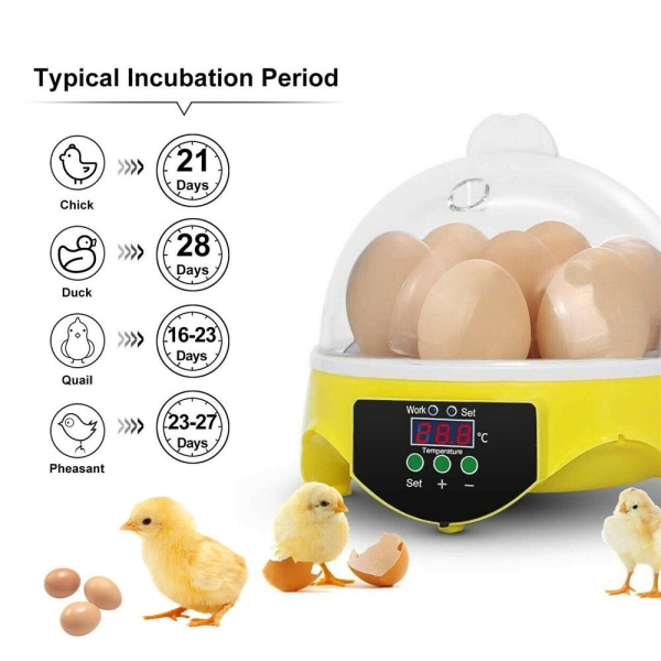 7 Egg Incubator Hatch Machine Brooder UK Plug