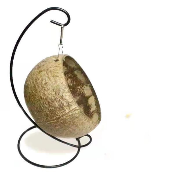 Kokosnøtt Hamster Gjemmested Jeksel Leke Varm Pad