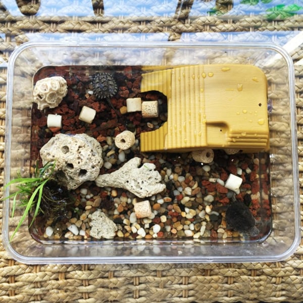 Turtle Basking Table Turtle Kiipeilytaso KAHVI Coffee