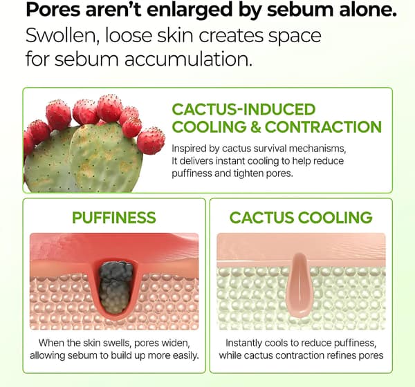 Dr.melaxin CACTOX Cactus Toxin Pore Calming Multi-Effect Ointment