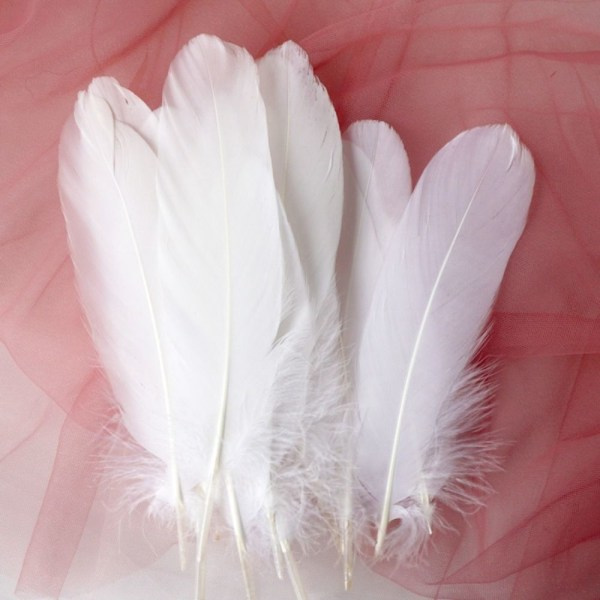 100 pcs/set Goose Feathers Assorted Feathers white
