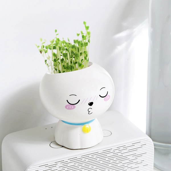 6 nya kreativa mini-växter i kruka landskap (Teru teru bōzu) mini landskap inomhus plantering barn gåvor