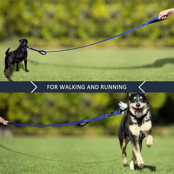 Dog Leash 6ft Long, Traffic Padded Two Handle, Heavy Duty, Reflective Double Handle for Control Safety Training, Leash for Large Dogs Navy Blue 6FT