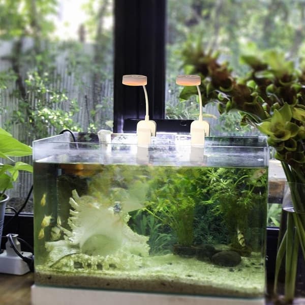 Rechargeable LED Plant Light with Clip - Dimmable Reading Lamp for Plants, Aquariums, Corals - USB-C