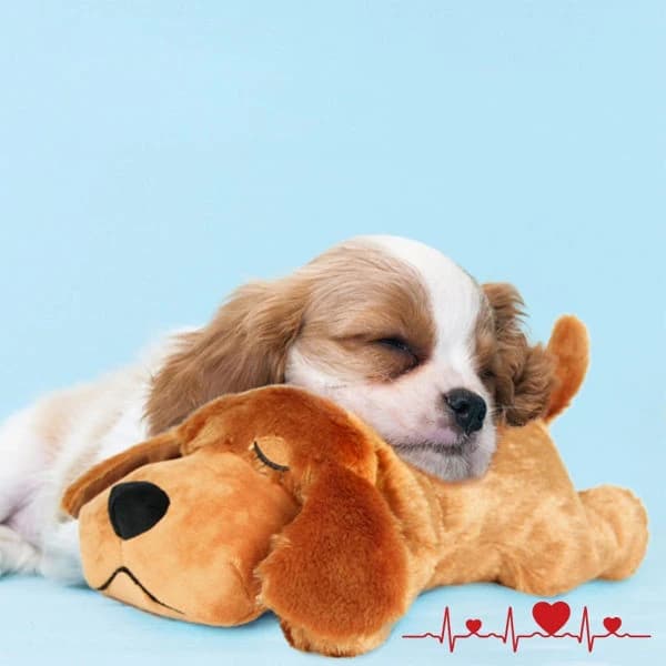 1/3 Hvalpe-legetøj med hjerteslag, beroligende adfærd for hunde, søvntræning