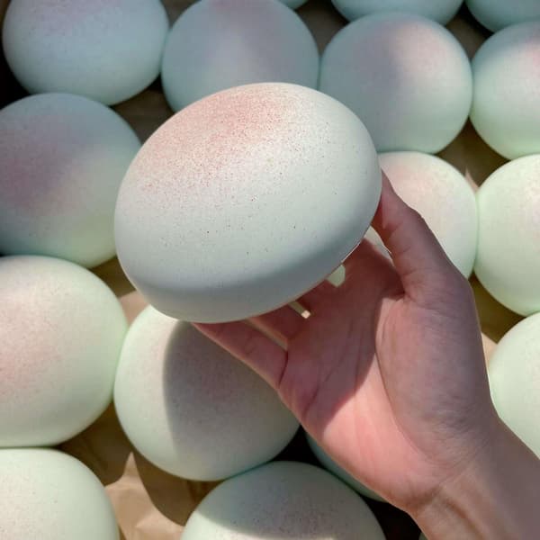 Cheese Slow Rising Squishy Toy, Round Sticky Bread Foam Squishies