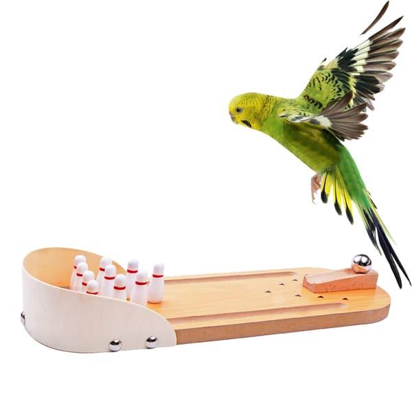 Pöytäpeli Mini Bowling – aikuisille, lapsille, teini-ikäisille ja pojille