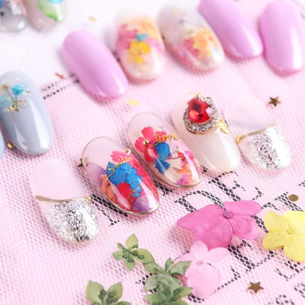 Nail Art Decoration Kit, 3D Nail Art Stickers, 12 sorters torkade nail art , lämpliga för nail art phone case
