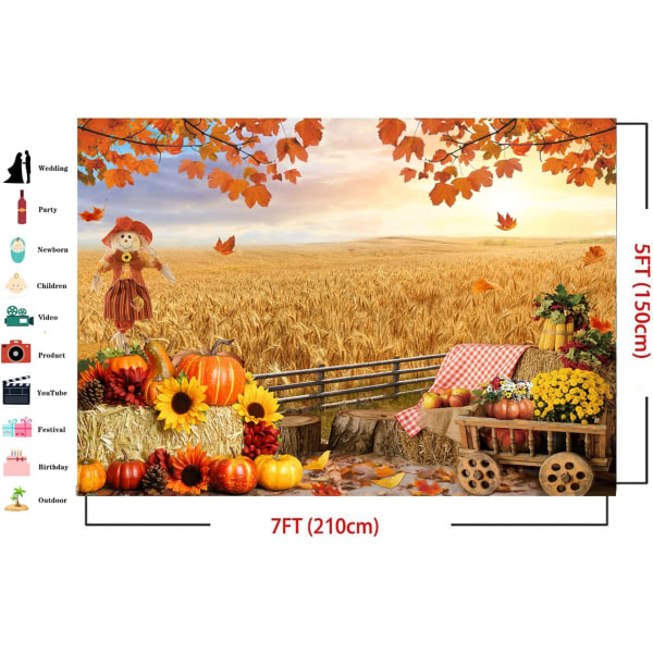 7X5FT Høst Bakgrunn Høst Thanksgiving Foto Bakgrunn HøstBakgrunn Høst Gresskar Høst Thanksgiving Høy Bakgrunn BabyShower Bursdagsfest Dekor