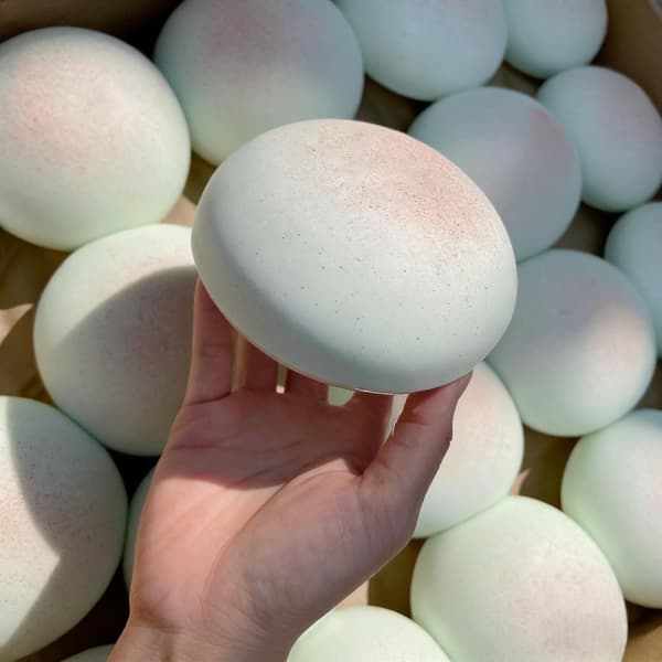 Cheese Slow Rising Squishy Toy, Round Sticky Bread Foam Squishies
