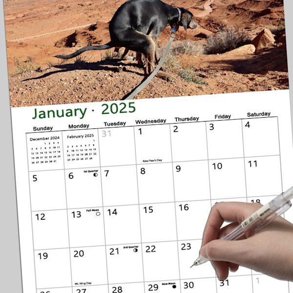 2025 Bajsande Hundar A4-Storlek Väggkalender