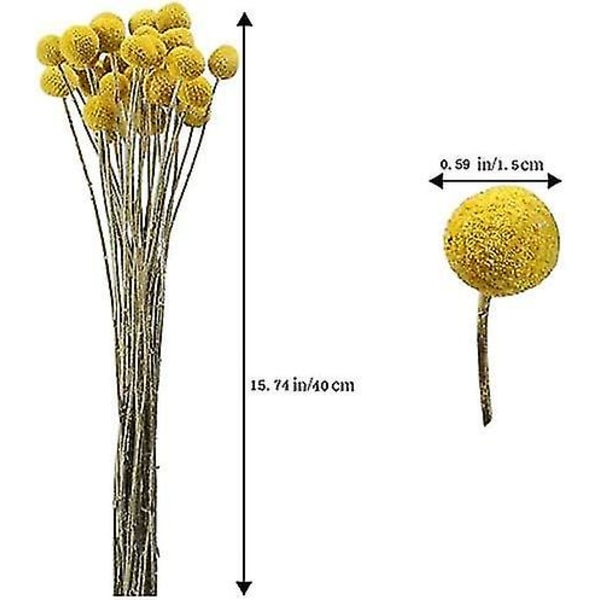 30 stk. Tørkede Blomster Ekte Naturlige Kunstige Blomster Globosa Falske Blomster Tørket Gave
