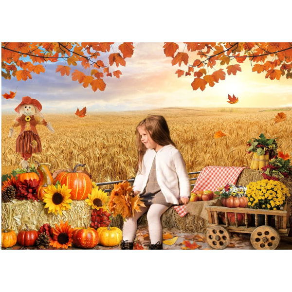 7X5FT Høst Bakgrunn Høst Thanksgiving Foto Bakgrunn HøstBakgrunn Høst Gresskar Høst Thanksgiving Høy Bakgrunn BabyShower Bursdagsfest Dekor