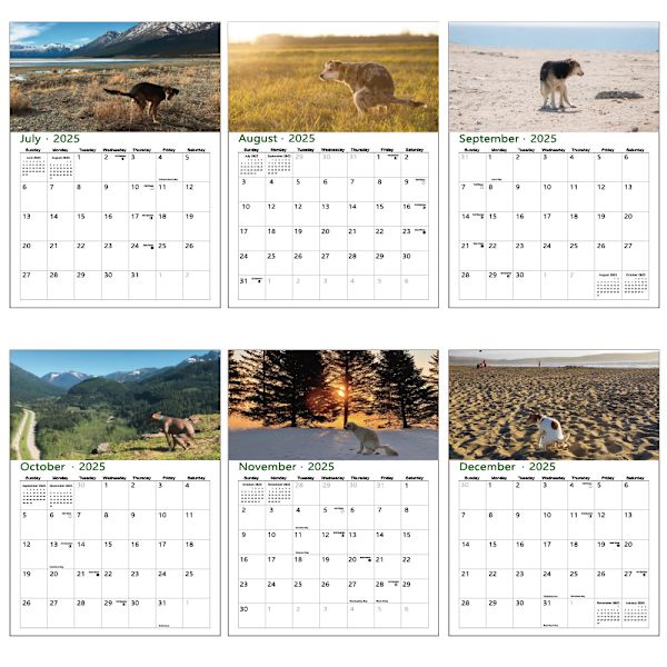 2025 Bajsande Hundar A4-Storlek Väggkalender
