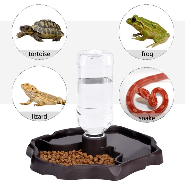 Reptilvattenflaska, sköldpadda Automatisk matare Dryckare Mat- och vattenskål Husdjursdispenser Flaska Matningsbricka