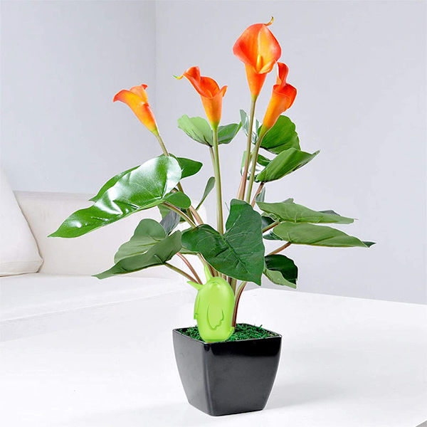 1 stk plante selvvanning pigg enheter, automatisk plantevanner enhet planter drypp vanning vanning pigger-grønn