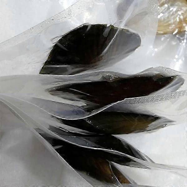 Ostron Äkta Pärlgåva Individuellt Förpackad Vakuumförpackning 7-8mm Smyckesskal S04