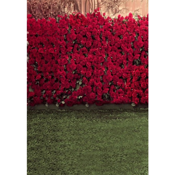5x7ft Barnfotografering Bakgrundsfotografering Bakgrunder Romantik Röd Ros Blommor Vägg Suddigt gräsgolv Toddler Studiorekvisita Video Digital