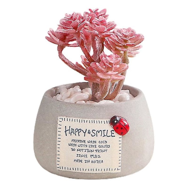 Konstgjorda Sukkulenter Bonsai Realistiska Eviga Mini Cementsimulering Krukväxt För Hemmet Q 2