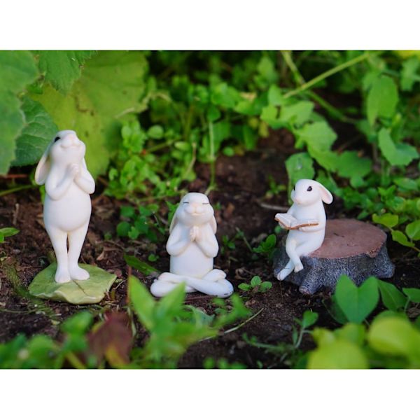 Top Collection Miniature Fe Haves Have og Terrarium Yoga Bunny i Siddende Namaste Pose Statue, Lille
