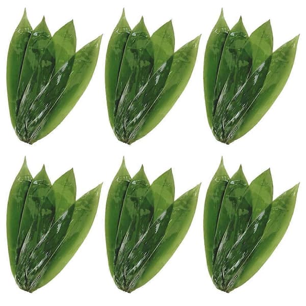 Bambusblade til madlavning af Zongzi Sushi Bambusblade til servering 50 stk.