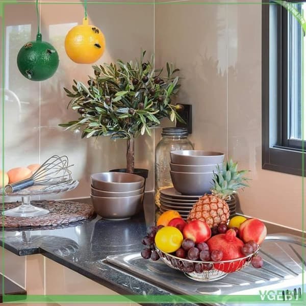 10-pack Fruit Fly Trap with Sticky Mosquito Killer Effective Fly Catcher for Indoor Outdoor Kitchen