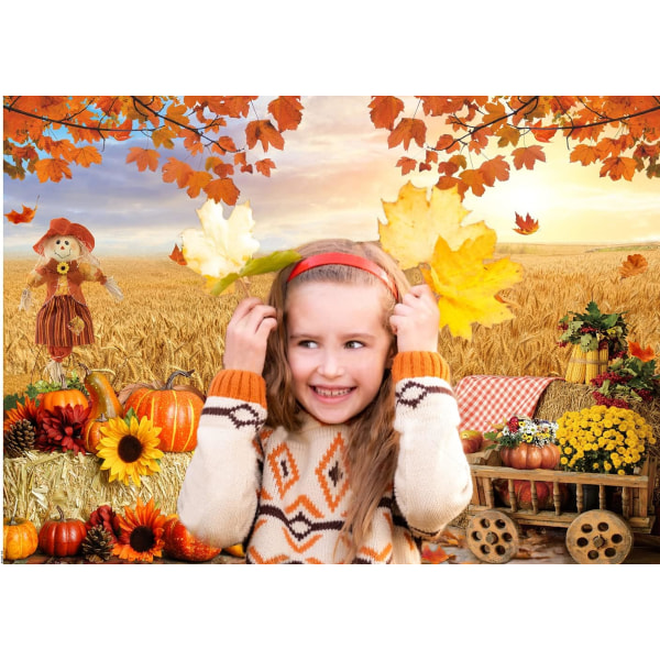 7X5FT Høst Bakgrunn Høst Thanksgiving Foto Bakgrunn HøstBakgrunn Høst Gresskar Høst Thanksgiving Høy Bakgrunn BabyShower Bursdagsfest Dekor