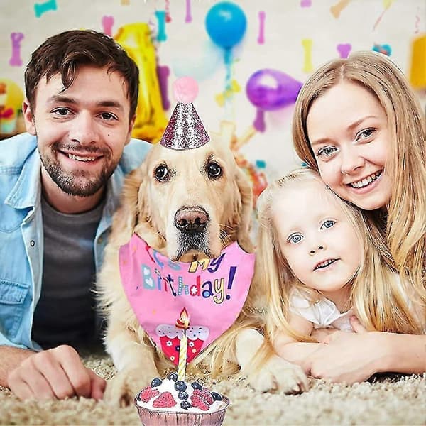 4 deler hundebursdagsfest hatt, halsduk, hundebursdagsbannerdekorasjon, glad