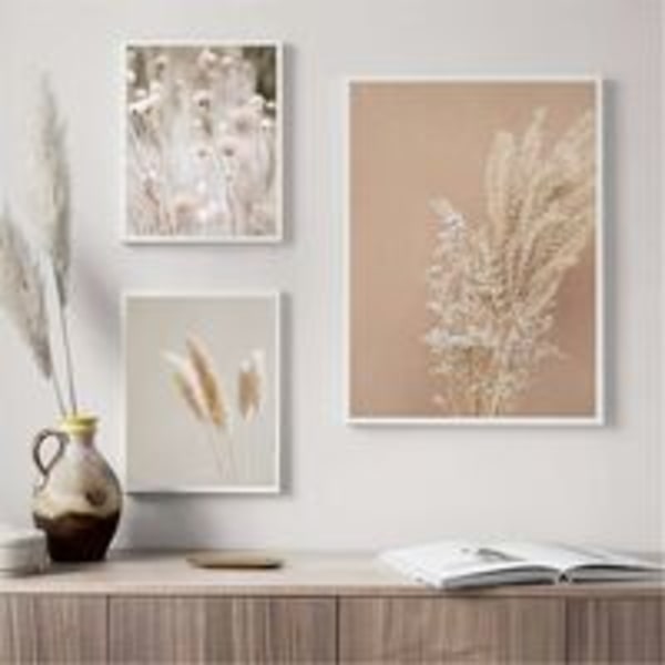 Set med 3 premium-kvalitetsaffischer - Pampasgräs - För vardagsrum eller sovrum - Triumph oramad (30 x 40 cm)