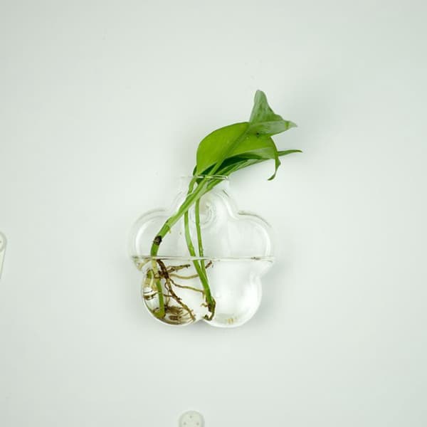 Hot!Hängande glasvas glas terrariumvas för hydroponics gar 梅花壁挂瓶+无痕钉