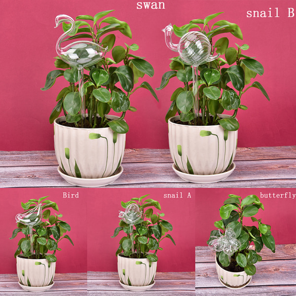 1st glas blommor vattenmatare självbevattning fågel Design Wate snail B