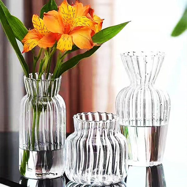 Transparenta glasvaser för flaska blomkruka Nordic Creative C