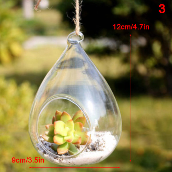 Hängande Transparent Ball Glas Flower er Vas Terrarium Landsca 3