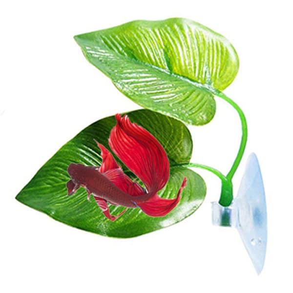 Betta Fish Rest Aquarium Leaf s Dekoration Spawning Ornamental