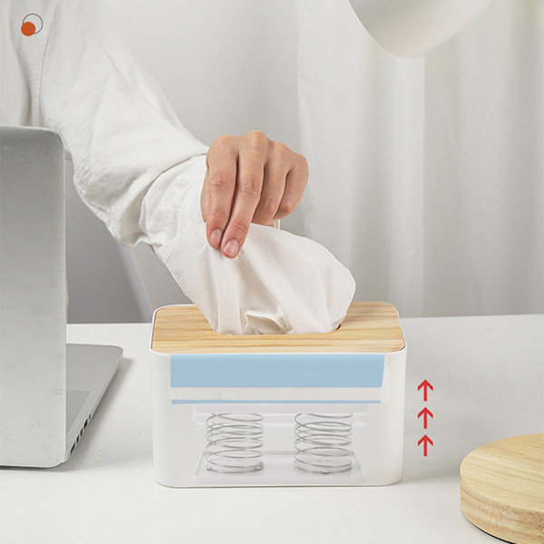 Creative Spring Tissue Box presenterar Spring Support Tissue Sprin White