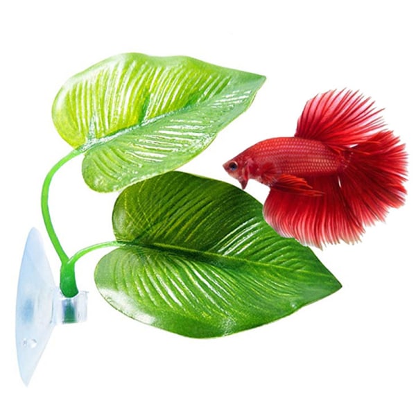 Betta Fish Rest Aquarium Leaf s Dekoration Spawning Ornamental