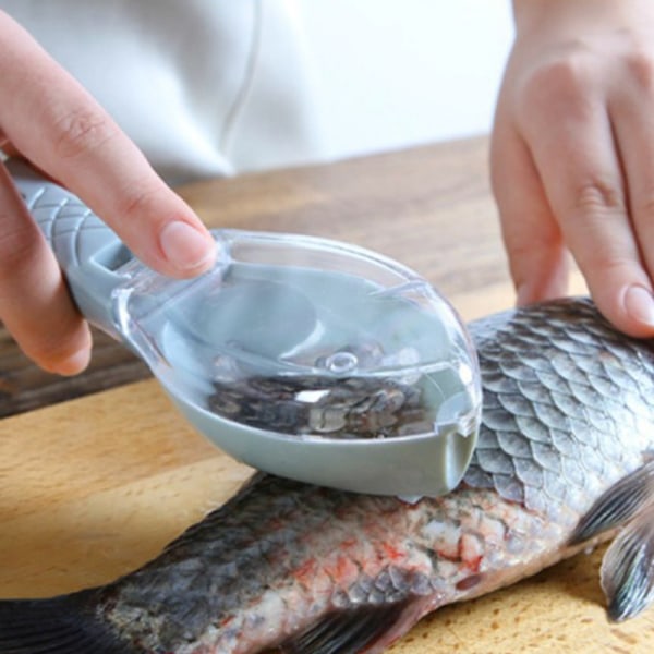 Nytt Fish Sccaler Tool skrapning Fish Scraper Cleaning ter Remover