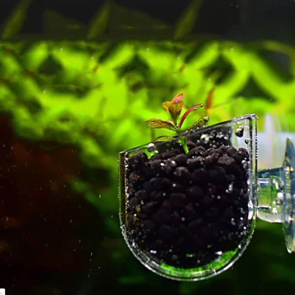 Aquarium Decor Hanging Fish Tank Mini Glaskruka Vatten ingjutet i