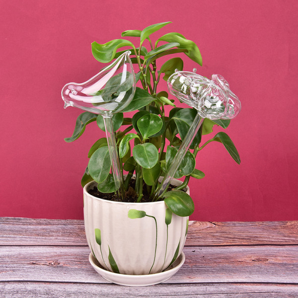 1st glas blommor vattenmatare självbevattning fågel Design Wate Bird