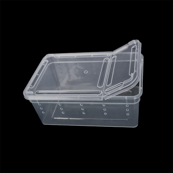 Reptiler Spindel Transparent Plast Matningslåda Insektsmatning White