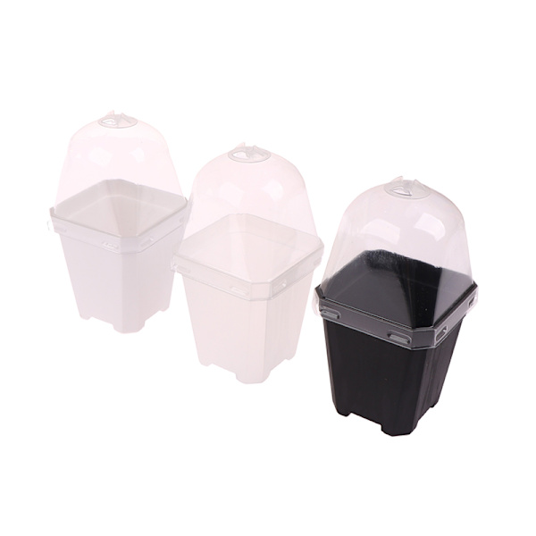5st fyrkantig liten blomkruka med fuktkupol lings ing krukor Transparent