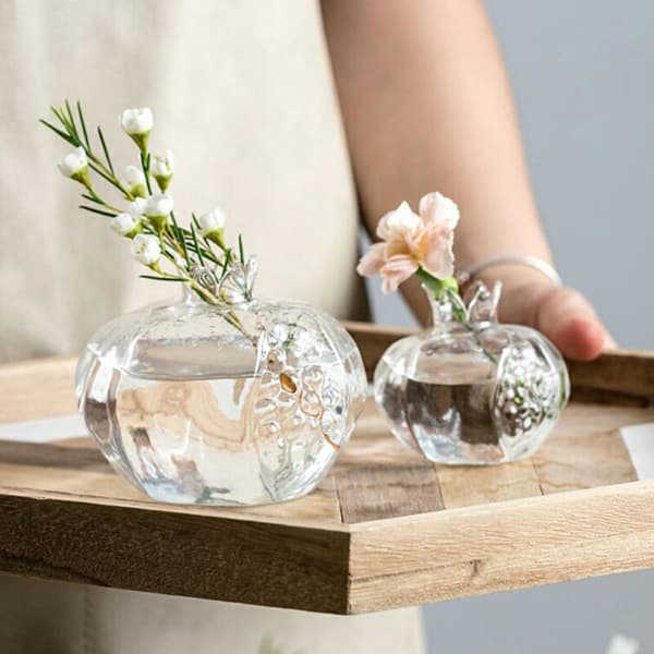 Granatäpple Glas Vas Heminredning Blomstervas för Fruit Cachepo Transparent S
