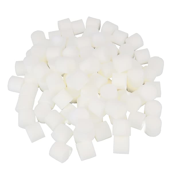 100st Soiless Hydroponic Trädgårdsredskap ed Sponge Vegetable