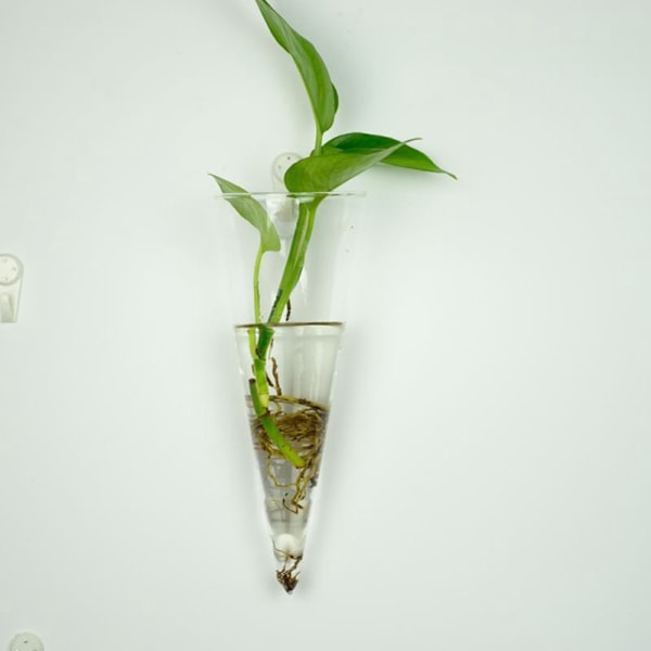 Hot!Hängande glasvas glas terrariumvas för hydroponics gar 锥形壁挂瓶+无痕钉