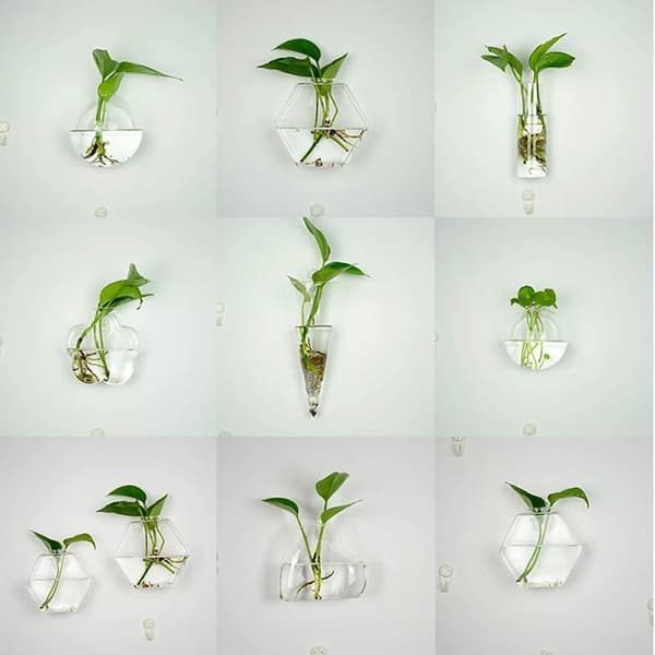 Hot!Hängande glasvas glas terrariumvas för hydroponics gar 爱心壁挂瓶+无痕钉
