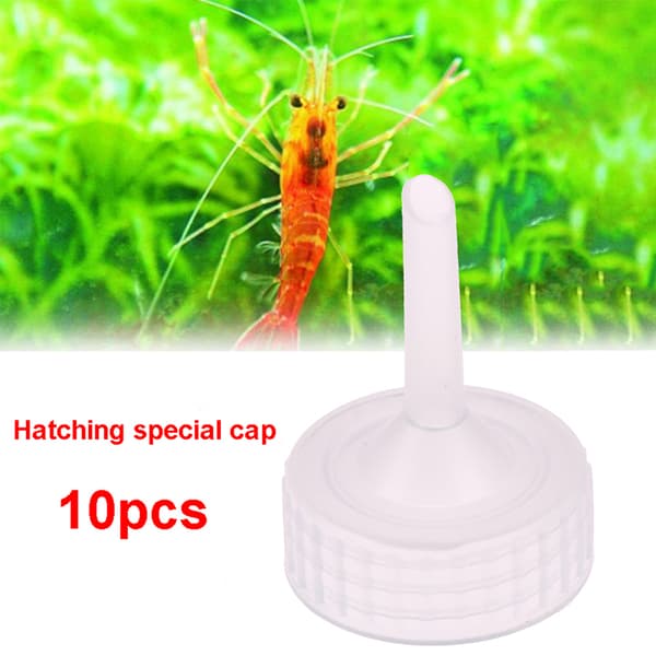 10 st Akvarium Artemia Cap Regul