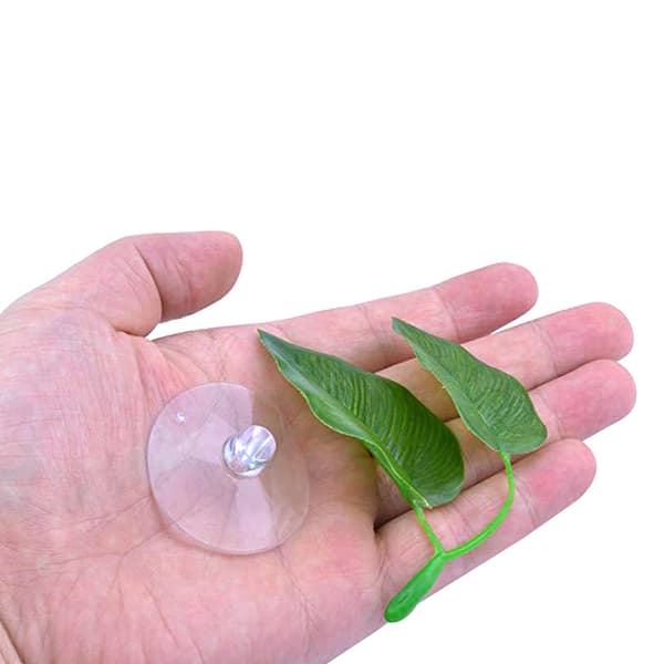 Betta Fish Rest Aquarium Leaf s Dekoration Spawning Ornamental