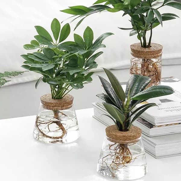Genomskinlig hydroponisk blomkruka imitation glas soilless Flow 10cm
