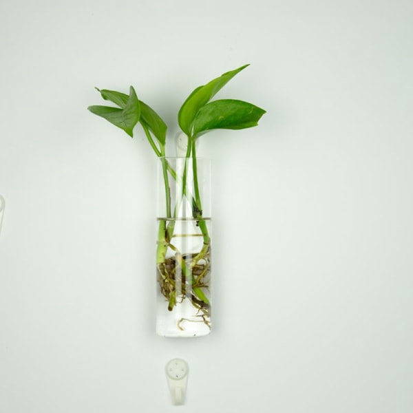 Hot!Hängande glasvas glas terrariumvas för hydroponics gar 锥形壁挂瓶+无痕钉