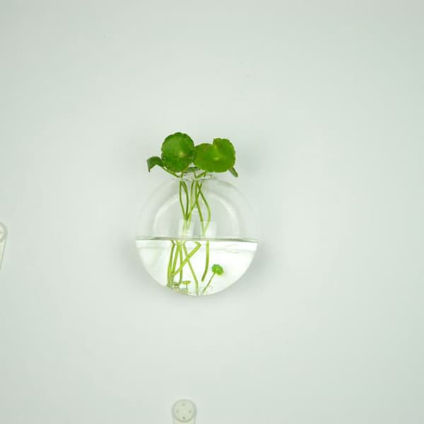 Hot!Hängande glasvas glas terrariumvas för hydroponics gar 圆管壁挂瓶+无痕钉